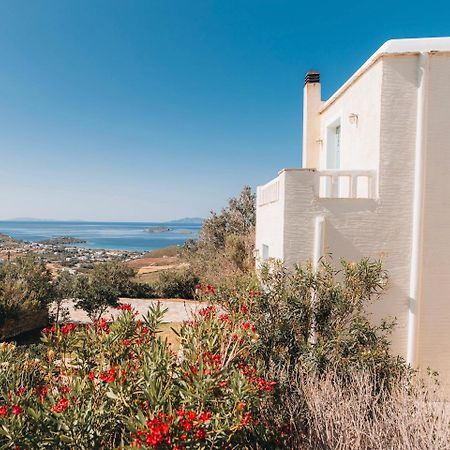 Villa Il Paradiso Andros Gavrio Eksteriør billede